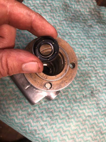 Seal orientation.JPG