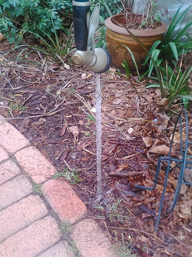frozen drip.jpg