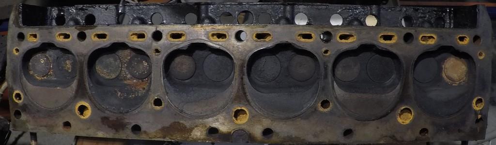 Head just removed.JPG