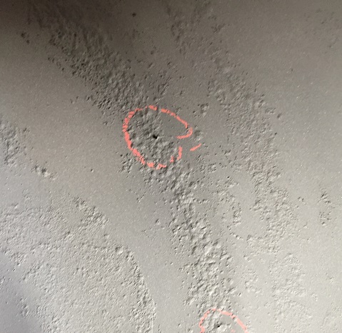Holes 2.JPG