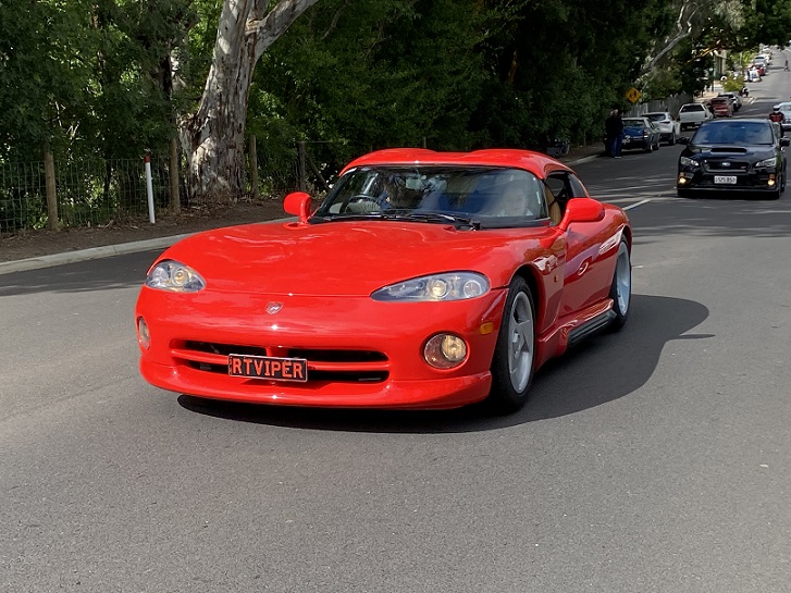 viper.JPG