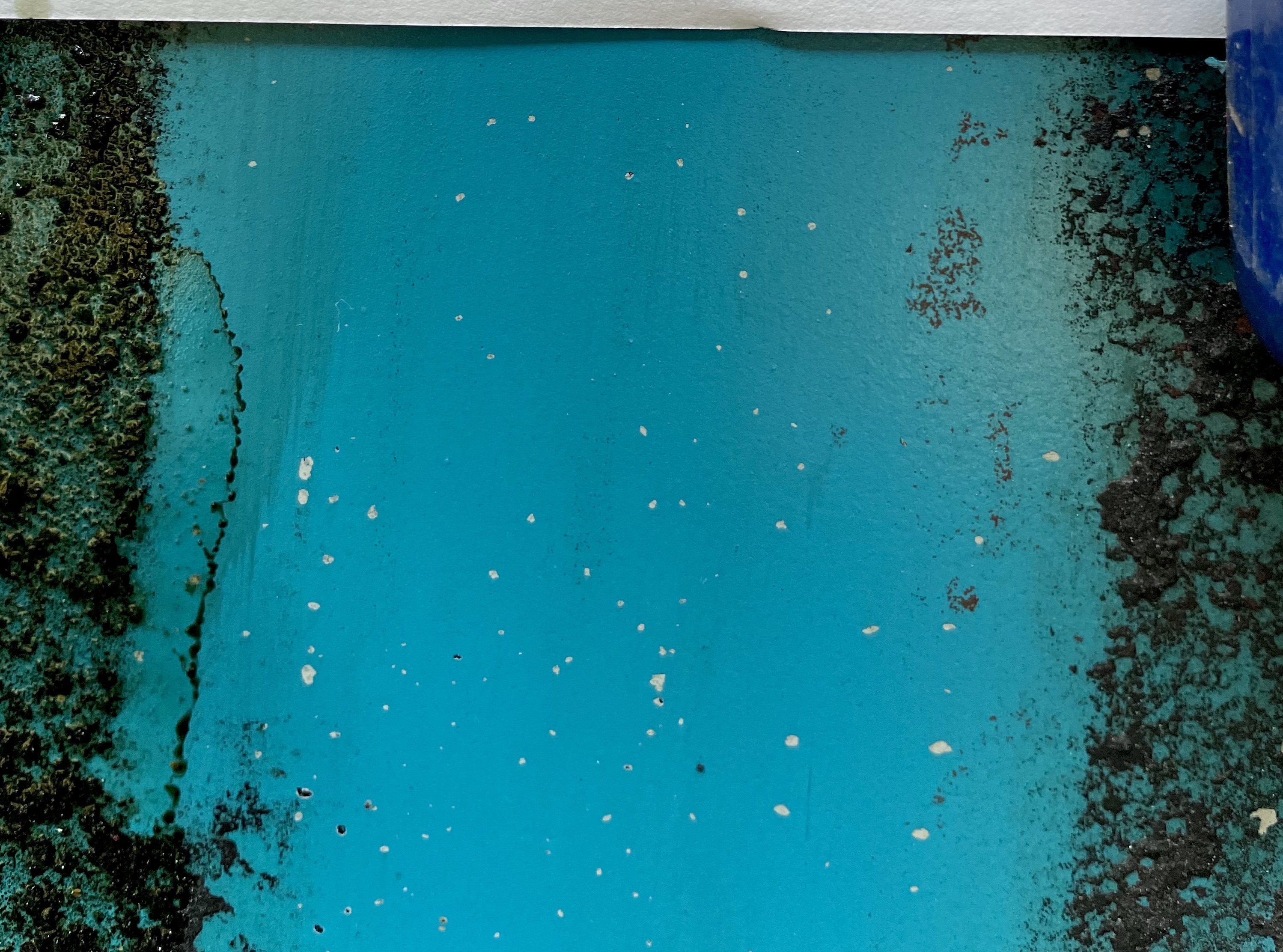 Front Guard Colour.jpg