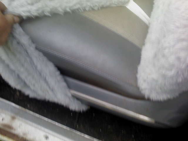 looks like a silver and grey paul