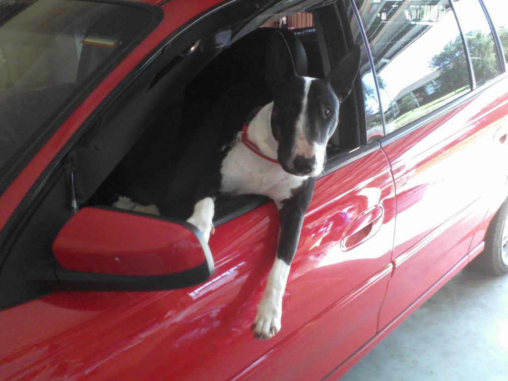 Co pilot