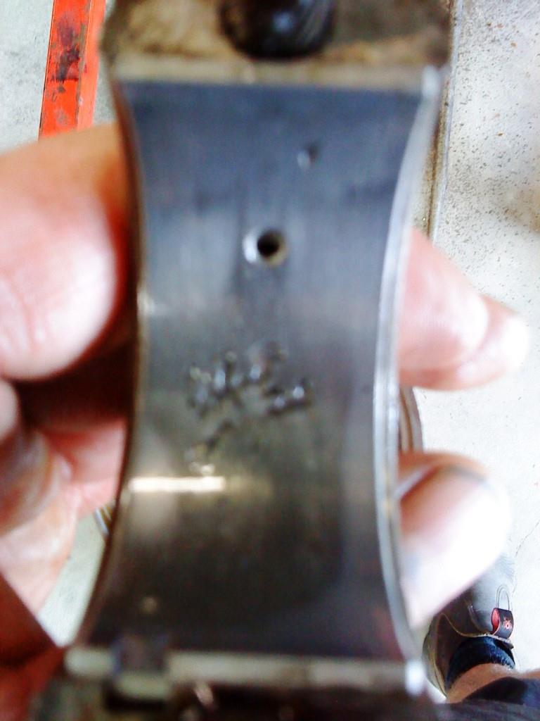 DSC00542.JPG