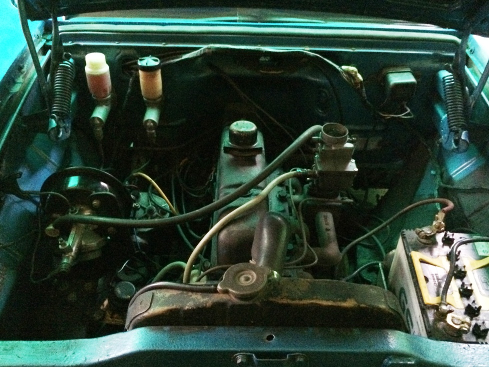 IMG_4910 - edited.JPG