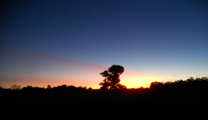 Awesome Sunset in Holbrook as we travel South to Albury