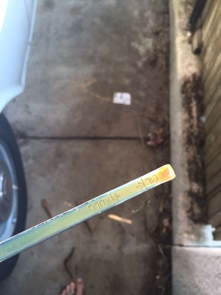 dipstick - full and a bit mily