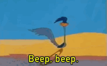 road runner.gif